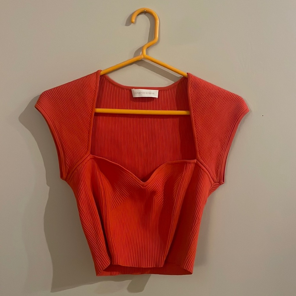 JONATHAN SIMKHAI Red Bustier Top Size S